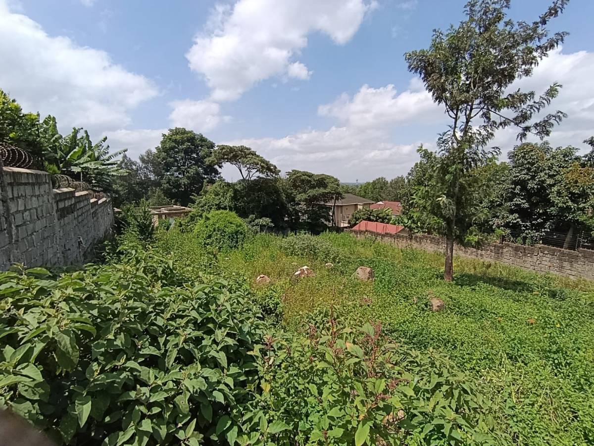 PRIME 1/4 ACRE PLOT FOR SALE – KERARAPON DRIVE, NORTH 19M